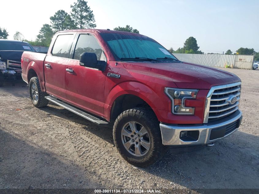 2015 FORD F-150 XLT - 1FTEW1EF6FKD14241