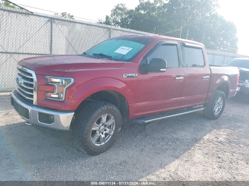 2015 FORD F-150 XLT - 1FTEW1EF6FKD14241