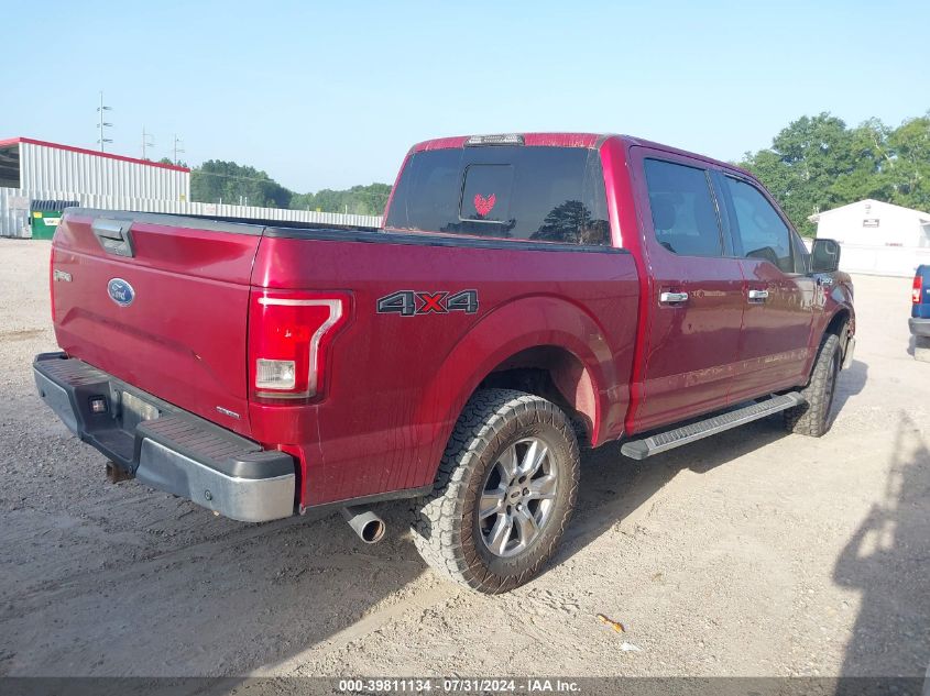 2015 FORD F-150 XLT - 1FTEW1EF6FKD14241