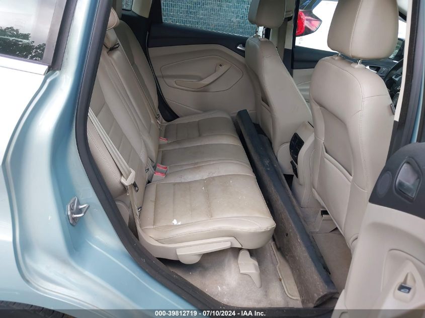 2013 Ford C-Max Energi Premium VIN: 1FADP5CU3DL553213 Lot: 39812719