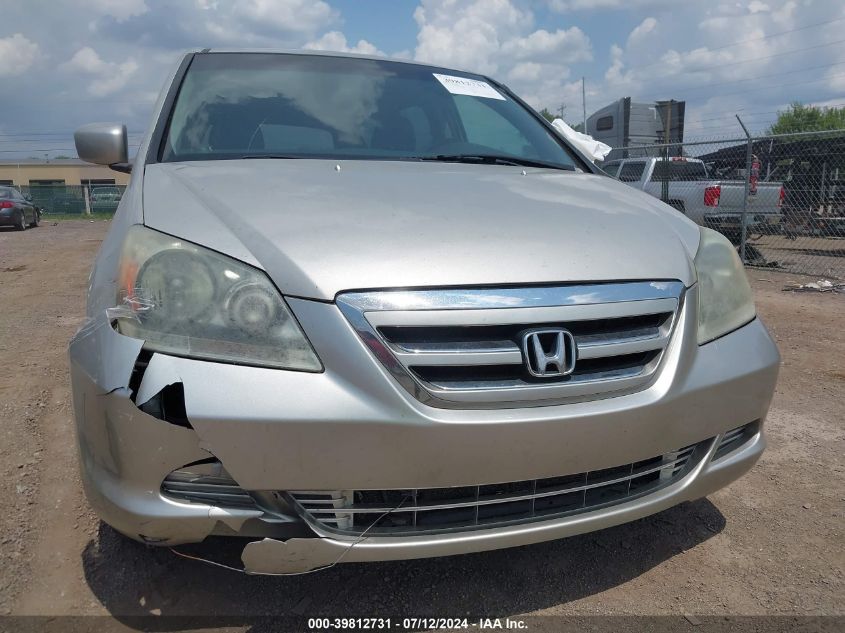 2005 Honda Odyssey Ex-L VIN: 5FNRL38765B125353 Lot: 39812731