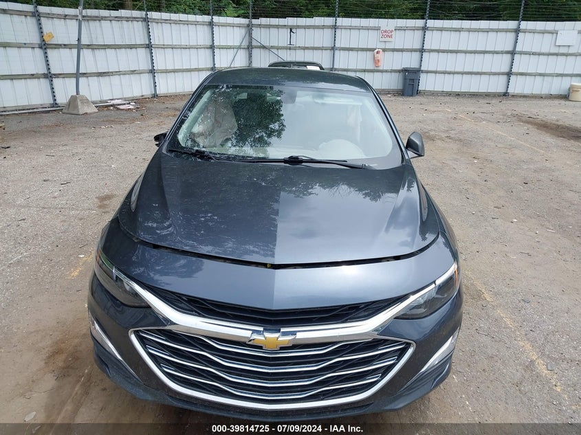2019 Chevrolet Malibu 1Fl VIN: 1G1ZC5ST7KF119286 Lot: 39814725