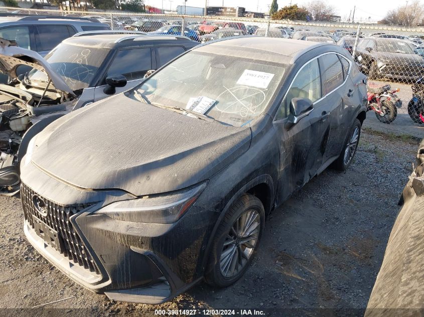 VIN JTJHKCEZ8R2030836 2024 Lexus NX 350H, Luxury no.2