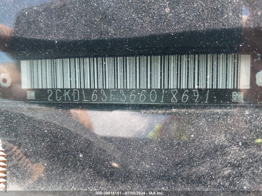 2006 Pontiac Torrent VIN: 2CKDL63F366018691 Lot: 39815151