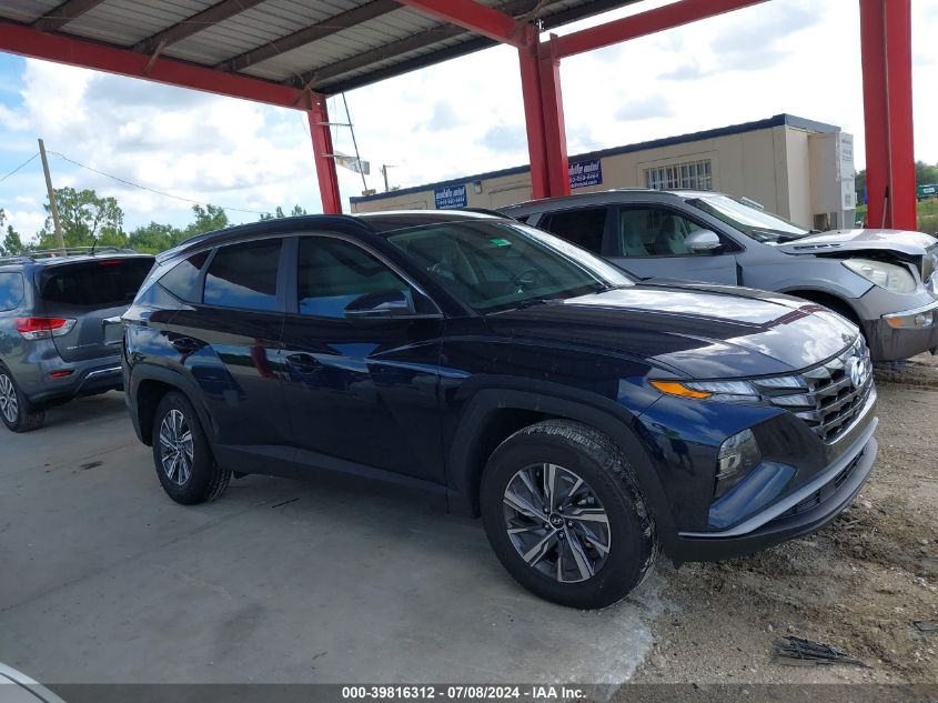 2022 Hyundai Tucson Hybrid Blue VIN: KM8JBCA1XNU072617 Lot: 39816312