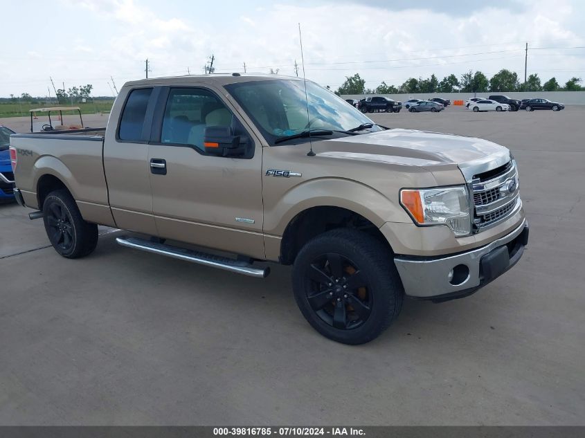 2013 Ford F-150 Xlt VIN: 1FTFX1CT5DFC70619 Lot: 39816785