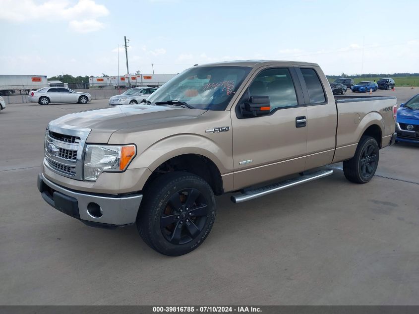 2013 FORD F-150 XLT - 1FTFX1CT5DFC70619