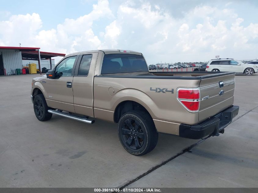 2013 FORD F-150 XLT - 1FTFX1CT5DFC70619