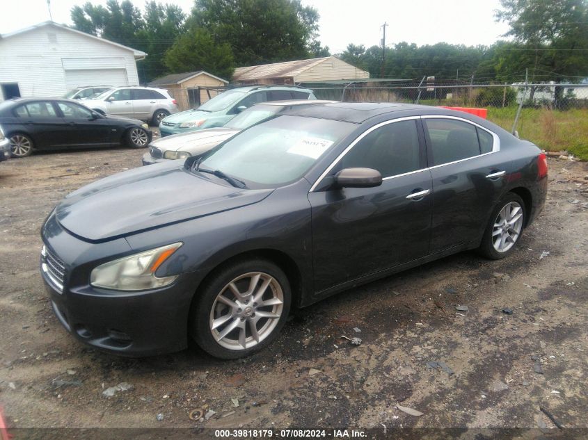 1N4AA5APXBC819034 | 2011 NISSAN MAXIMA