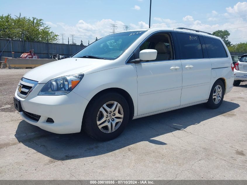 2007 Honda Odyssey Ex-L VIN: 5FNRL38717B454397 Lot: 39818555