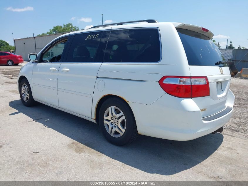 2007 Honda Odyssey Ex-L VIN: 5FNRL38717B454397 Lot: 39818555