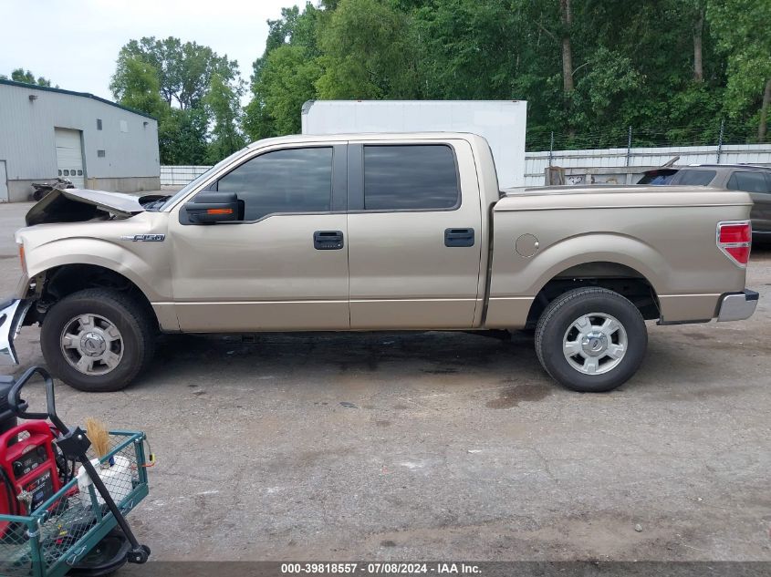 2013 Ford F-150 Xlt VIN: 1FTFW1EF7DFB24071 Lot: 39818557