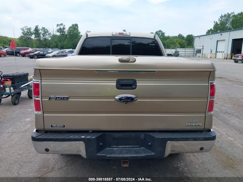 2013 Ford F-150 Xlt VIN: 1FTFW1EF7DFB24071 Lot: 39818557