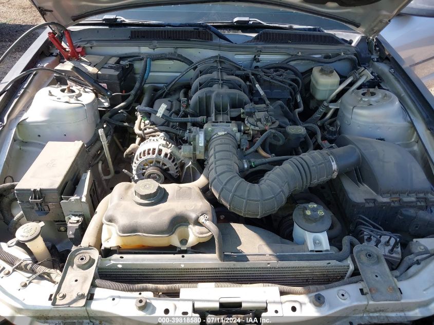 2007 Ford Mustang V6 Deluxe/V6 Premium VIN: 1ZVFT80N075343655 Lot: 39818580