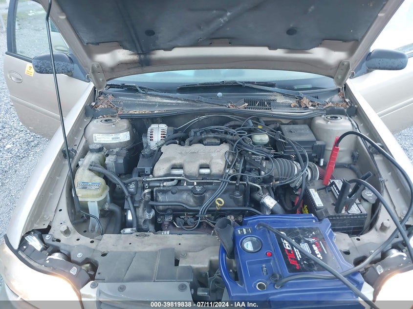 2003 Chevrolet Malibu VIN: 1G1ND52J23M621968 Lot: 39819838