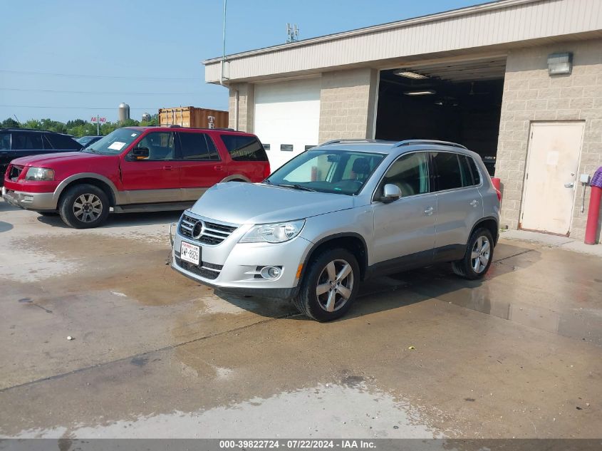 2010 Volkswagen Tiguan Wolfsburg Edition VIN: WVGBV7AX6AW513827 Lot: 39822724