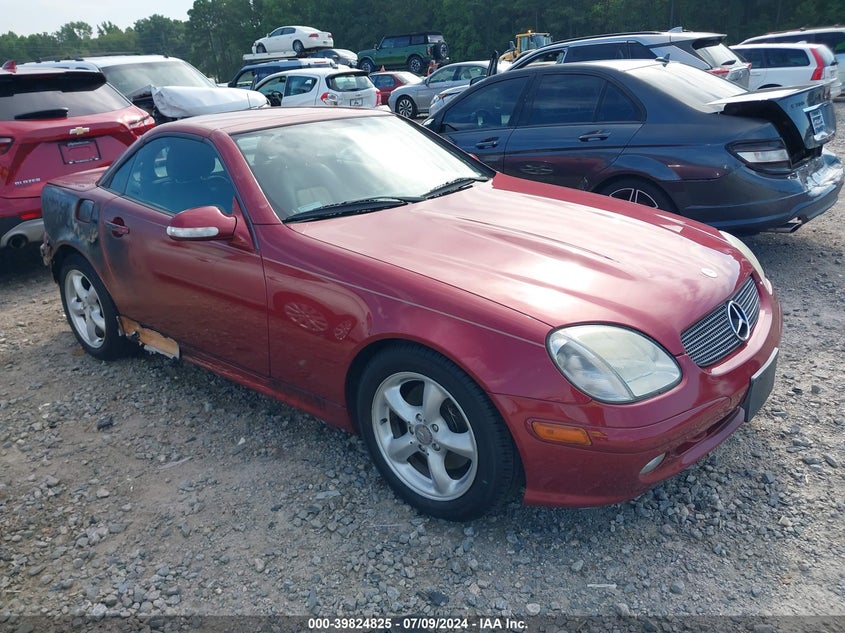 2001 Mercedes-Benz Slk 320 VIN: WDBKK65F91F197234 Lot: 39824825