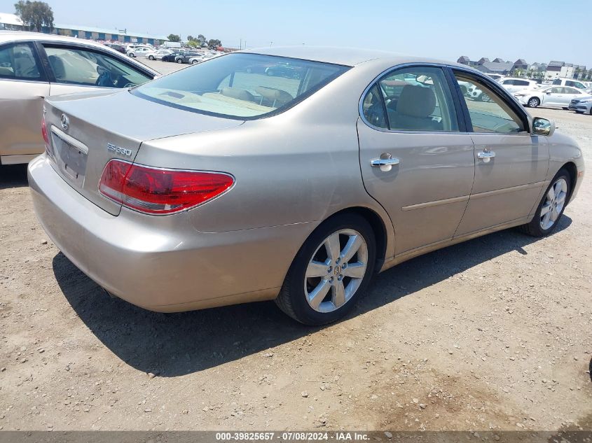 2005 Lexus Es 330 VIN: JTHBA30G955106928 Lot: 39825657