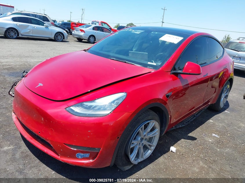 2021 TESLA MODEL Y U   U(VIN: 5YJYGDEE7MF214971