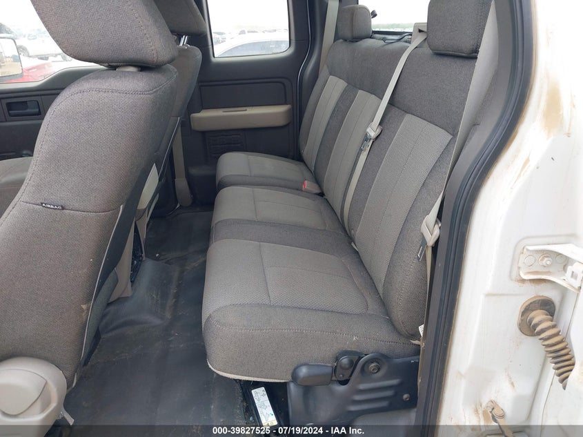 2009 Ford F-150 Stx/Xl VIN: 1FTRX14WX9KB73825 Lot: 39827525