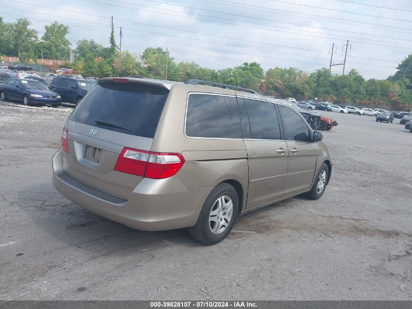 2006 Honda Odyssey Ex-L VIN: 5FNRL387X6B430971 Lot: 39828107