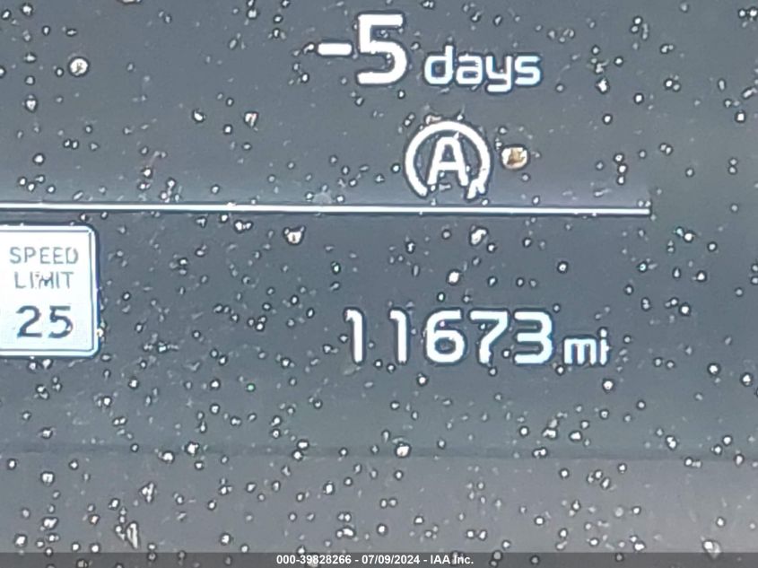 2024 Kia Telluride Ex VIN: 5XYP34GC1RG417728 Lot: 39828266