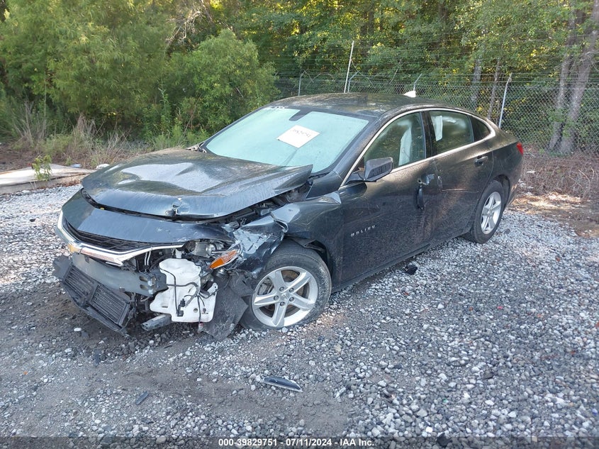 2019 CHEVROLET MALIBU 1LS - 1G1ZB5ST1KF116595