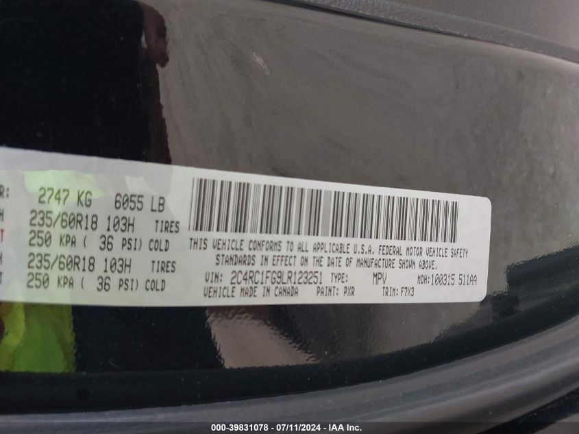 2020 Chrysler Pacifica Touring VIN: 2C4RC1FG9LR123251 Lot: 39831078