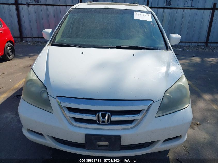 2007 Honda Odyssey Ex-L VIN: 5FNRL387X7B432513 Lot: 39831711