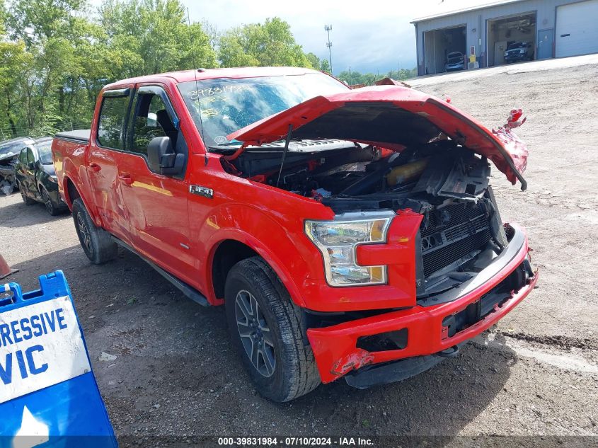 2015 FORD F-150 XLT - 1FTEW1EGXFFB21902