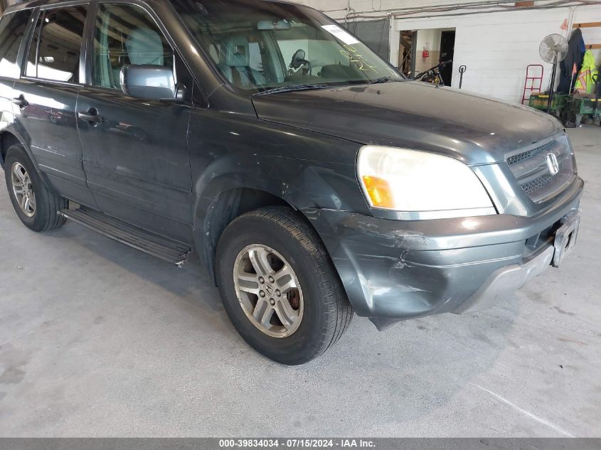 2005 Honda Pilot Ex-L VIN: 5FNYF18535B055980 Lot: 39834034