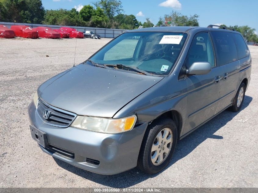 2002 Honda Odyssey Ex VIN: 5FNRL18612B023353 Lot: 39835560