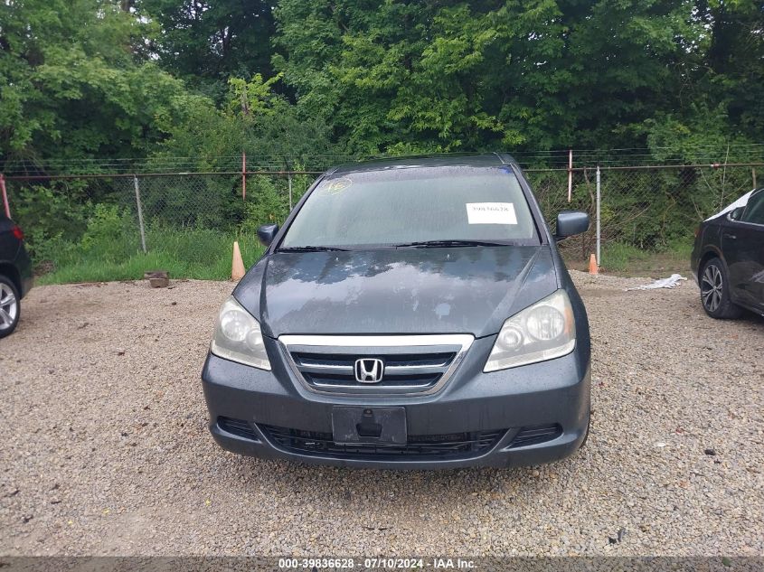 2005 Honda Odyssey Ex-L VIN: 5FNRL387X5B084998 Lot: 39836628