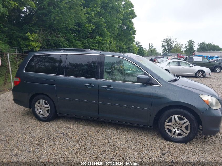 2005 Honda Odyssey Ex-L VIN: 5FNRL387X5B084998 Lot: 39836628