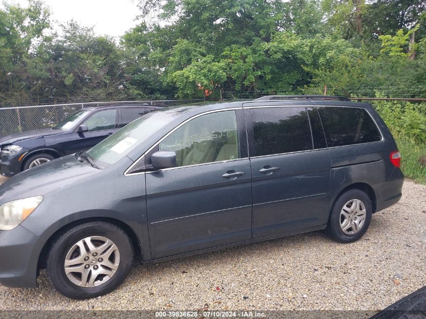 2005 Honda Odyssey Ex-L VIN: 5FNRL387X5B084998 Lot: 39836628