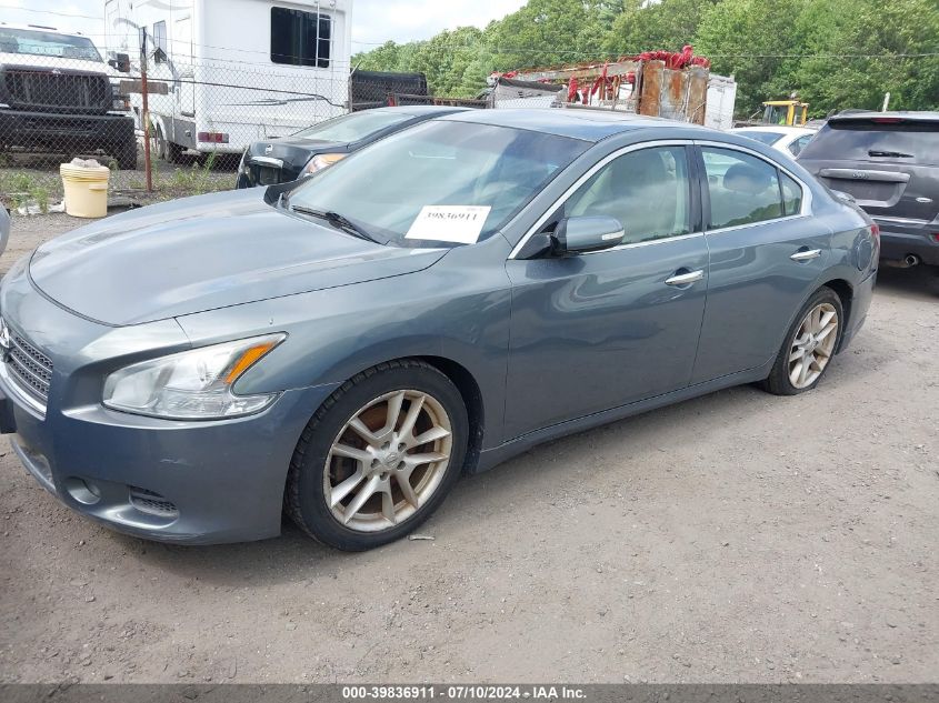 1N4AA5AP6BC865816 | 2011 NISSAN MAXIMA