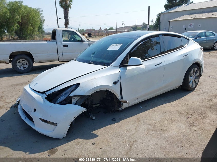 2021 TESLA MODEL Y U   U(VIN: 5YJYGDEE4MF213941