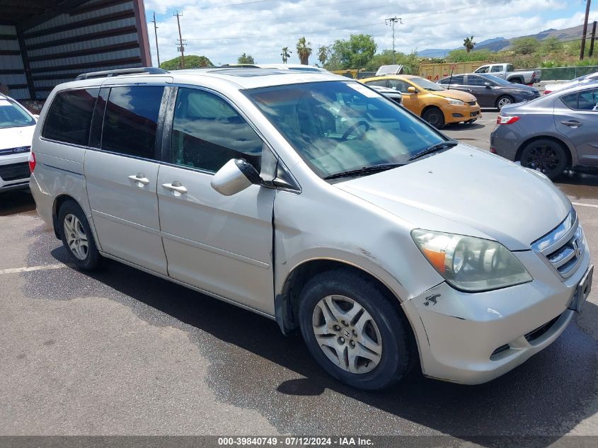 2005 Honda Odyssey Ex-L VIN: 5FNRL38675B412322 Lot: 39840749
