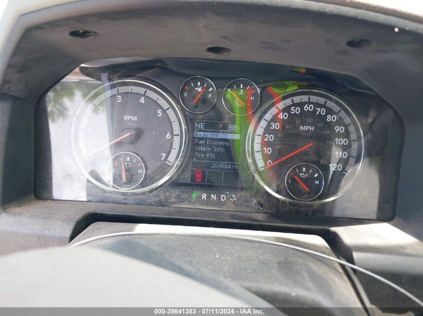 2010 Dodge Ram 1500 Slt/Sport/Trx VIN: 1D7RV1GP4AS113477 Lot: 39841383