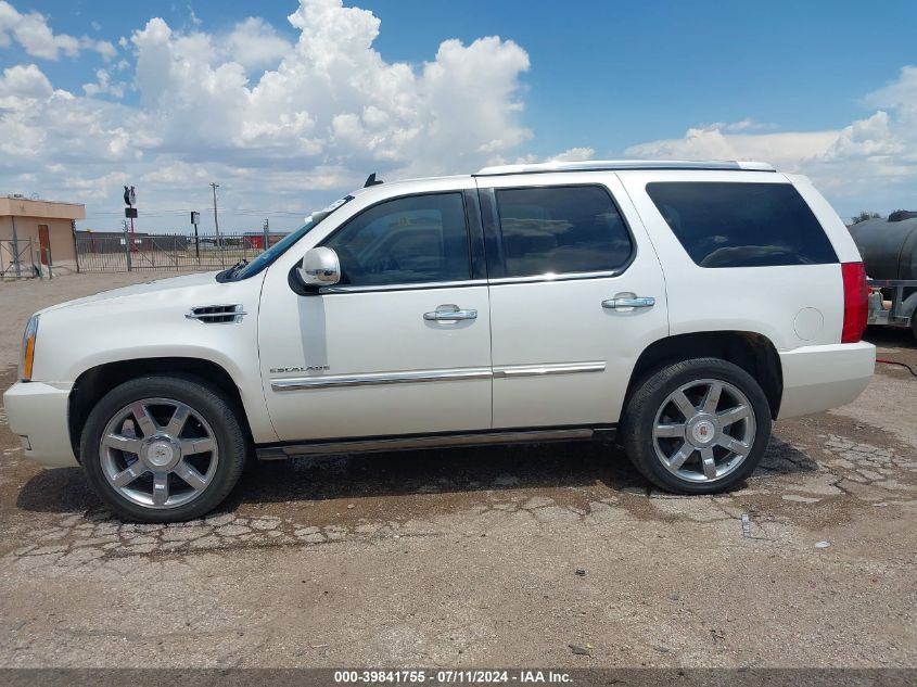 2010 Cadillac Escalade Premium VIN: 1GYUKCEFXAR262724 Lot: 39841755