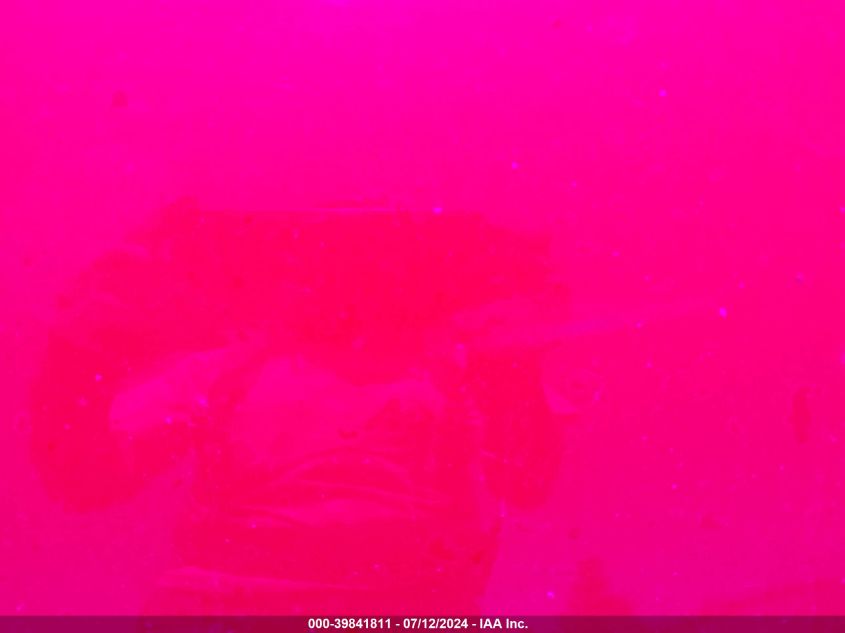 2004 Chevrolet Monte Carlo Ls VIN: 2G1WW12E849344493 Lot: 39841811