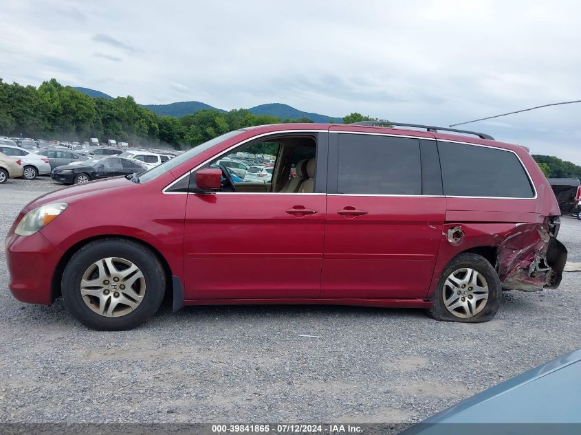 2005 Honda Odyssey Ex VIN: 5FNRL38445B034409 Lot: 39841865