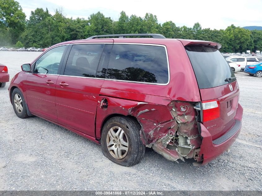 2005 Honda Odyssey Ex VIN: 5FNRL38445B034409 Lot: 39841865