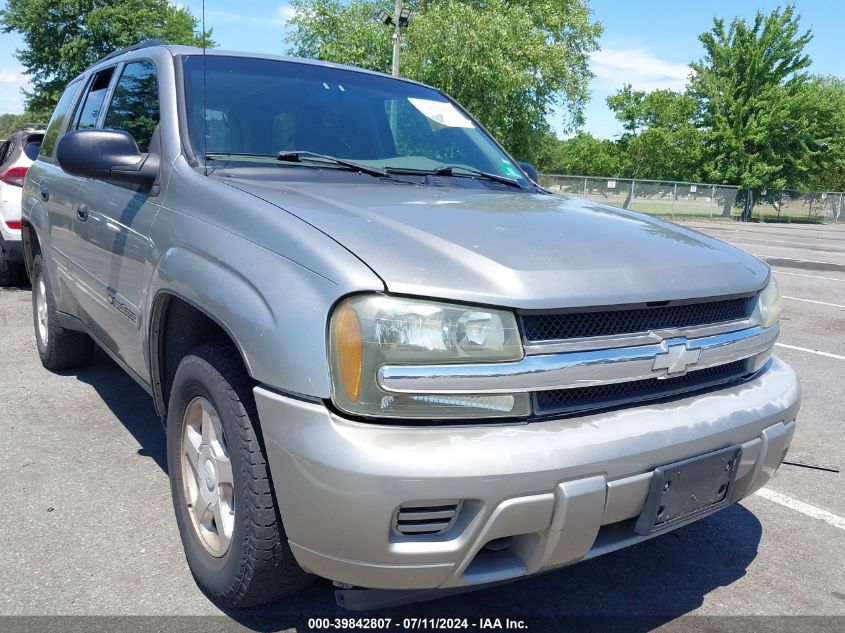 2002 Chevrolet Trailblazer Ls VIN: 1GNDT13S022170322 Lot: 39842807