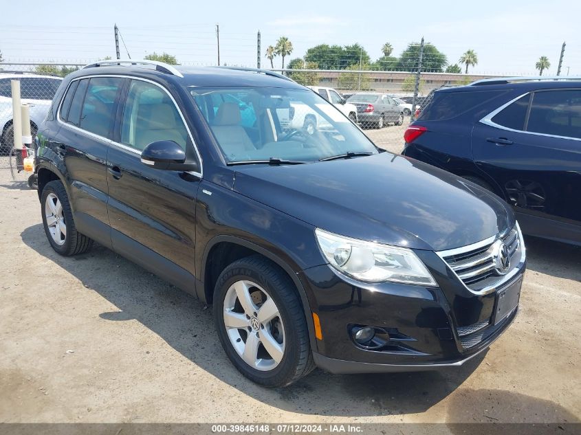 2010 Volkswagen Tiguan Wolfsburg Edition VIN: WVGAV7AX5AW529612 Lot: 39846148