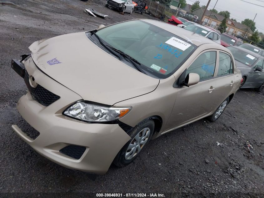 2T1BU40E29C185171 | 2009 TOYOTA COROLLA