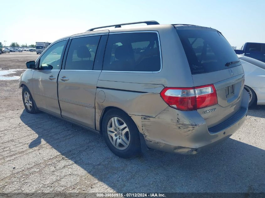 2007 Honda Odyssey Ex-L VIN: 5FNRL38707B440541 Lot: 39850975