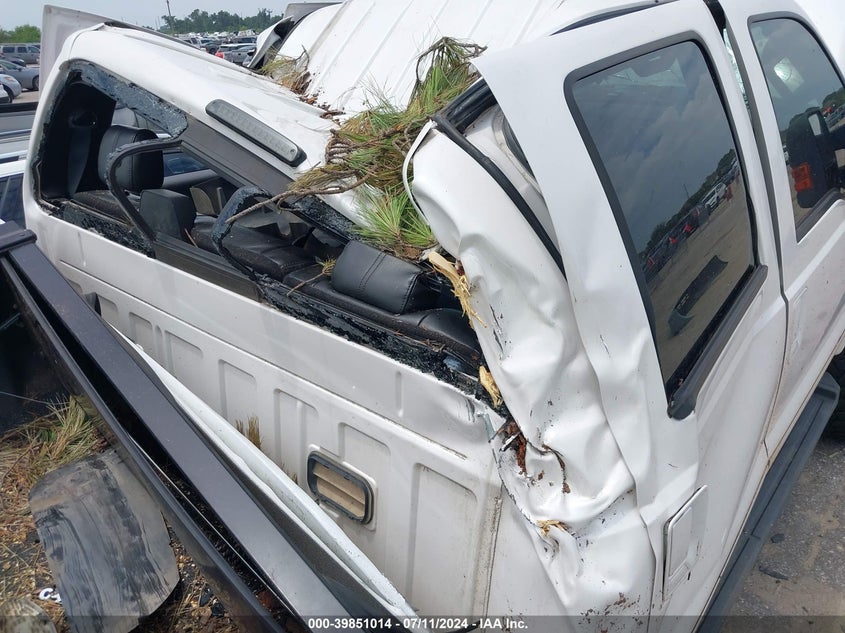 2010 Ford F-250 Cabela's/King Ranch/Lariat/Xl/Xlt VIN: 1FTSW2BY1AEB21744 Lot: 39851014