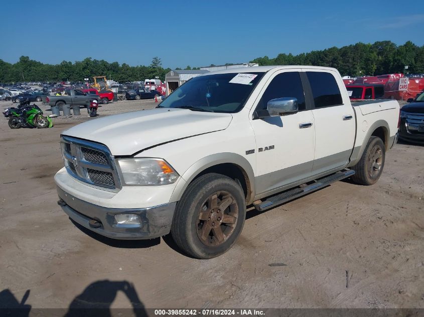 2009 Dodge Ram 1500 VIN: 1D3HV13T09J525798 Lot: 39855242