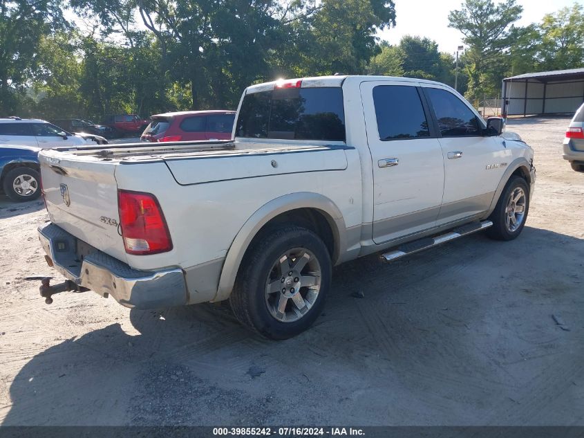 2009 Dodge Ram 1500 VIN: 1D3HV13T09J525798 Lot: 39855242